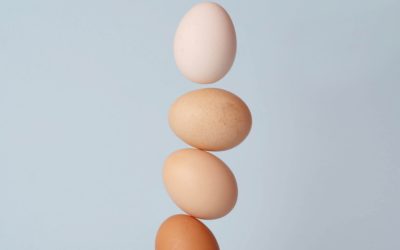 Τα αυγά στην ζωή μας (Νέα Μελέτη)